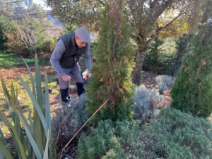 Entretien du jardin