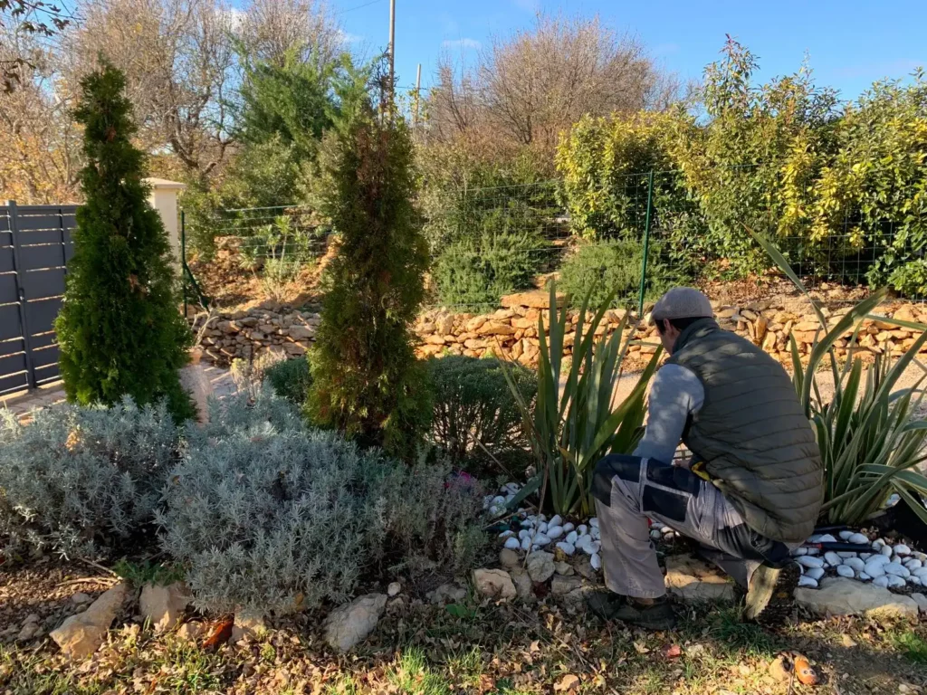 entretien de jardin