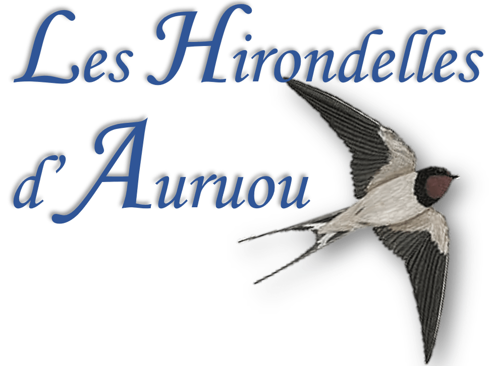 Les hirondelles d’Auruou